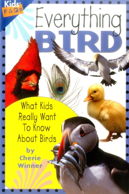 Everything Bird : What Kids Really Want to Know About Birds, Paperback / softback Book