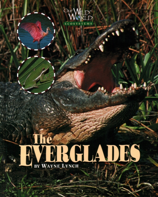Everglades, Hardback Book
