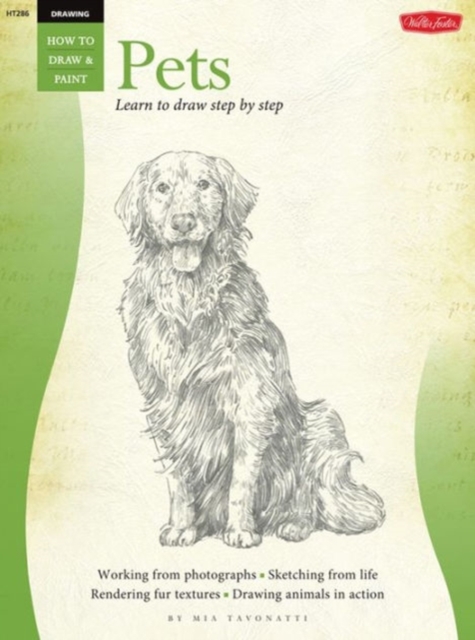 Drawing: Pets : Learn to Paint Step by Step, Paperback / softback Book