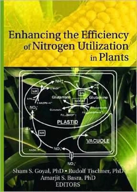 Enhancing the Efficiency of Nitrogen Utilization in Plants, Hardback Book