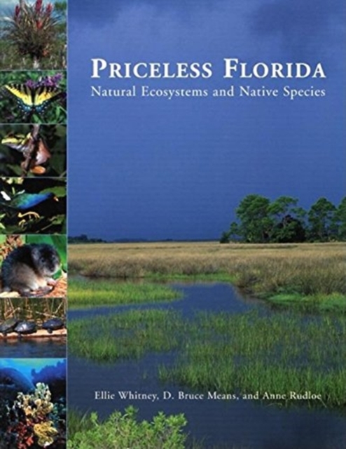Priceless Florida : Natural Ecosystems and Native Species, Paperback / softback Book