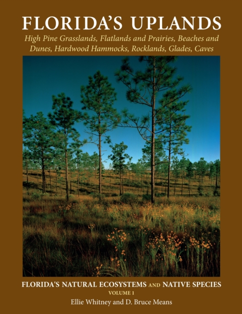 Florida's Uplands, Paperback / softback Book