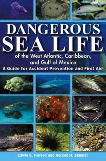 Dangerous Sea Life of the West Atlantic, Caribbean, and Gulf of Mexico : A Guide for Accident Prevention and First Aid, EPUB eBook