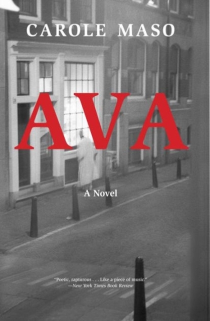 Ava : A Novel, Paperback / softback Book