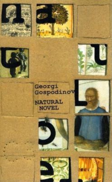 Natural Novel, Paperback / softback Book