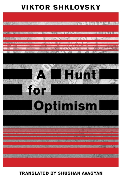 A Hunt for Optimism, Paperback / softback Book