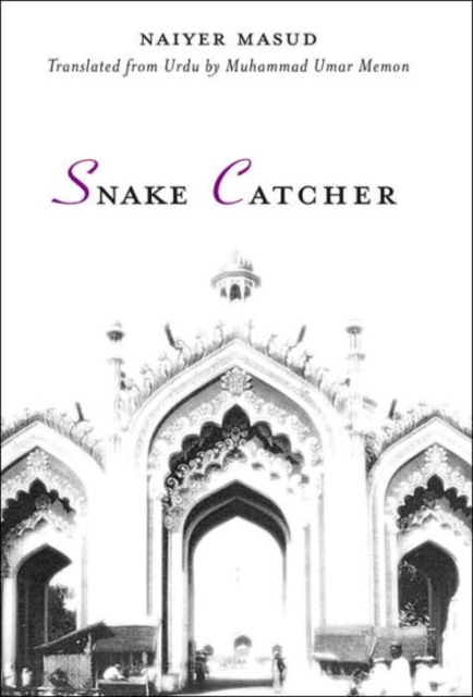 Snake Catcher, Hardback Book