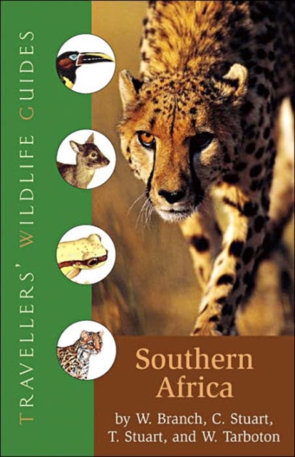 Southern Africa, Paperback / softback Book