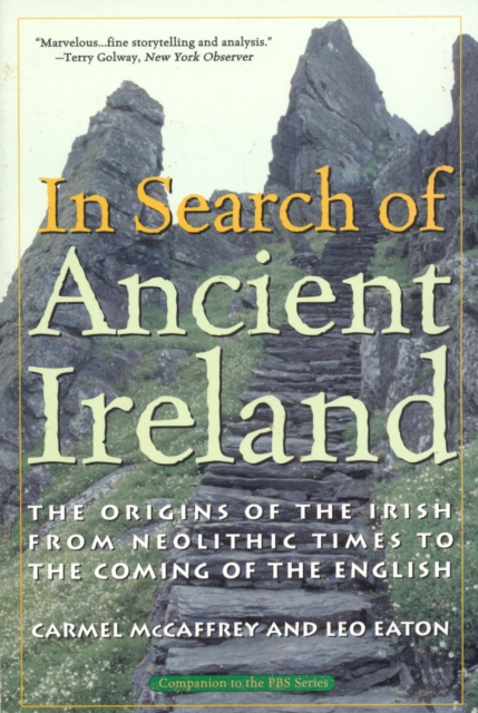 In Search of Ancient Ireland : The Origins of the Irish from Neolithic Times to the Coming of the English, Paperback / softback Book