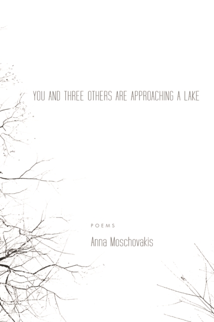 You and Three Others Are Approaching a Lake, Paperback / softback Book