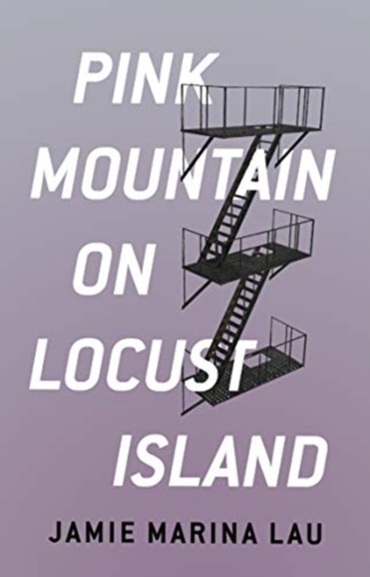 Pink Mountain on Locust Island, Paperback / softback Book