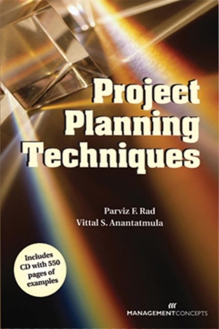 Project Planning Techniques, Paperback / softback Book