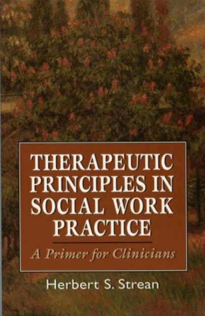 Therapeutic Principles in Social Work Practice : A Primer for Clinicians, Paperback / softback Book