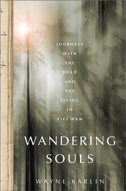 Wandering Souls : Journeys with the Dead and the Living in Viet Nam, Paperback / softback Book