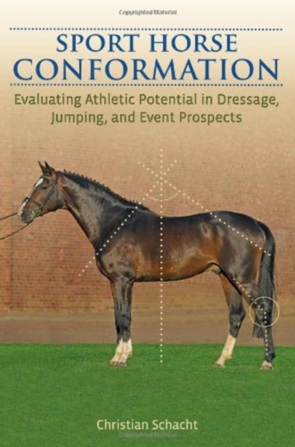 Sport Horse Conformation : Evaluating Athletic Potential in Dressage, Jumping and Event Prospects, Hardback Book