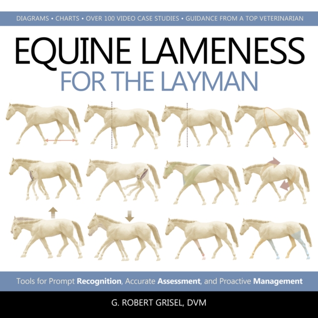 Equine Lameness for the Layman : Tools for Prompt Recognition, Accurate Assessment, and Proactive Management, Hardback Book
