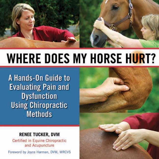 Where Does My Horse Hurt? : A Hands-On Guide to Evaluating Pain and Dysfunction Using Chiropractic Methods, EPUB eBook