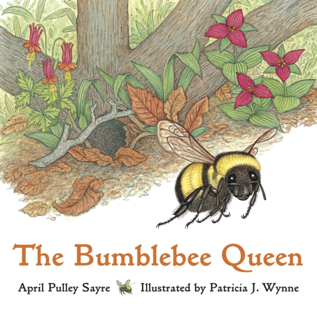 The Bumblebee Queen, Paperback / softback Book