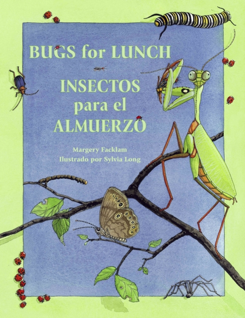 Insectos para el almuerzo / Bugs for Lunch, Paperback / softback Book