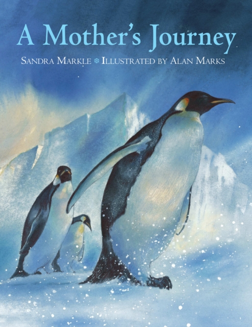 A Mother's Journey, Paperback / softback Book