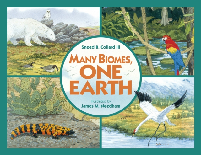 Many Biomes, One Earth, Paperback / softback Book