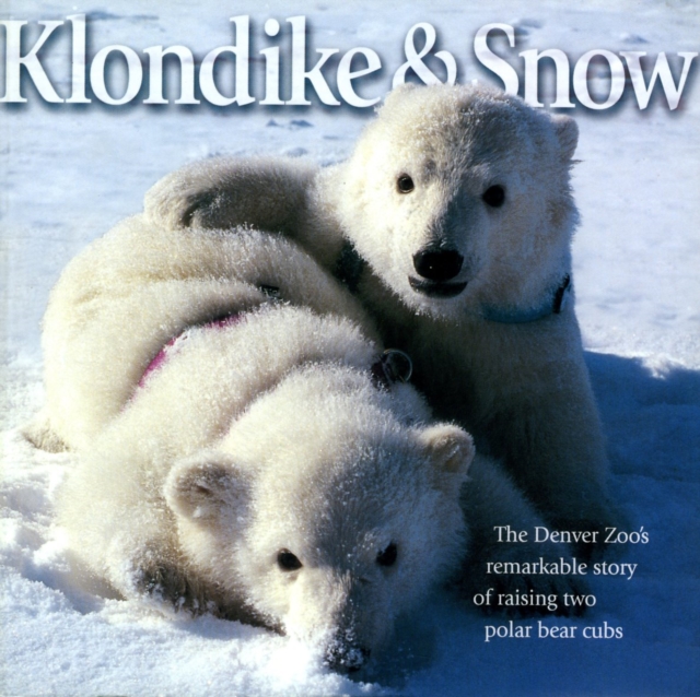 Klondike & Snow : The Denver Zoo's Remarkable Story of Raising Two Polar Bear Cubs, Paperback / softback Book