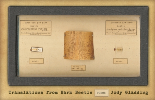 Translations from Bark Beetle : Poems, Paperback / softback Book