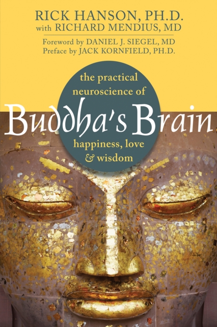 Buddha's Brain, PDF eBook