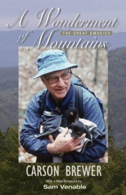 A Wonderment of Mountains, Paperback / softback Book