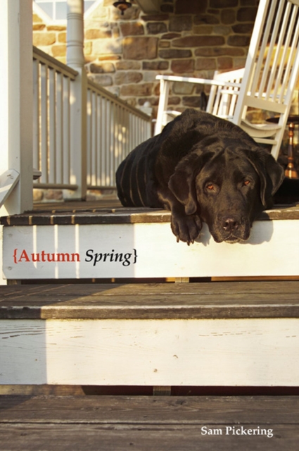 Autumn Spring, Paperback / softback Book