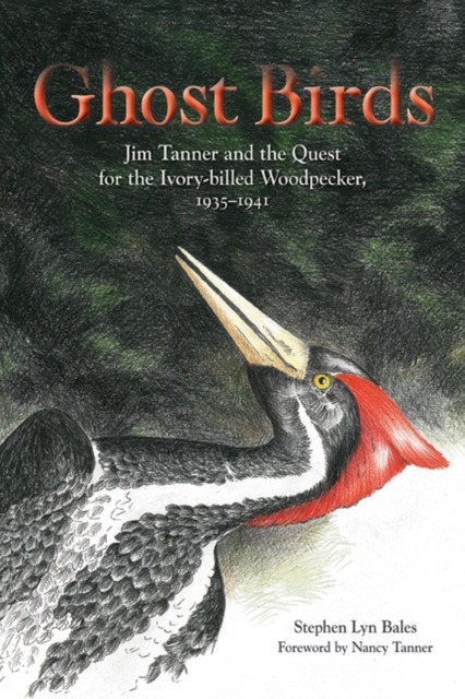 Ghost Birds : Jim Tanner and the Quest for the Ivory-billed Woodpecker, 1935-1941, Hardback Book