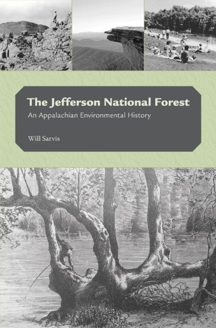 The Jefferson National Forest : An Appalachian Environmental History, Hardback Book