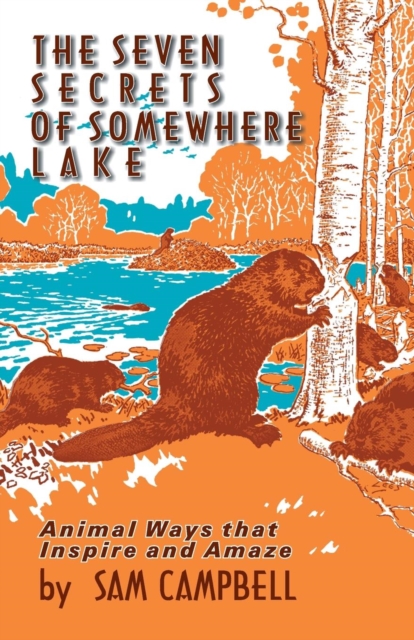 The Seven Secrets of Somewhere Lake : Animal Ways that Inspire and Amaze, Paperback / softback Book