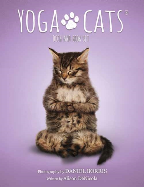 Yoga Cats Deck and Book Set, Cards Book