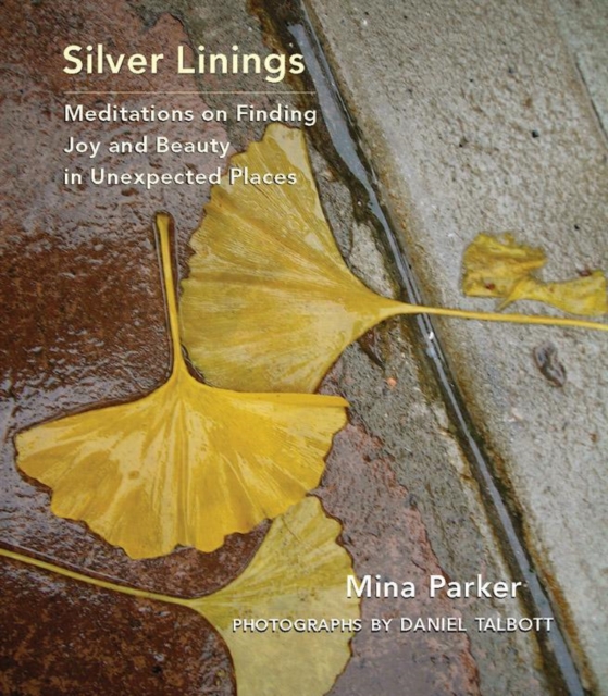 Silver Linings : Meditations on Finding Joy and Beauty in Unexpected Places, Hardback Book