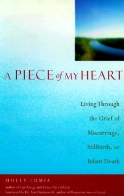Piece of My Heart : Living Through the Grief of Miscarriage, Stillbirth, or Infant Death, Paperback / softback Book