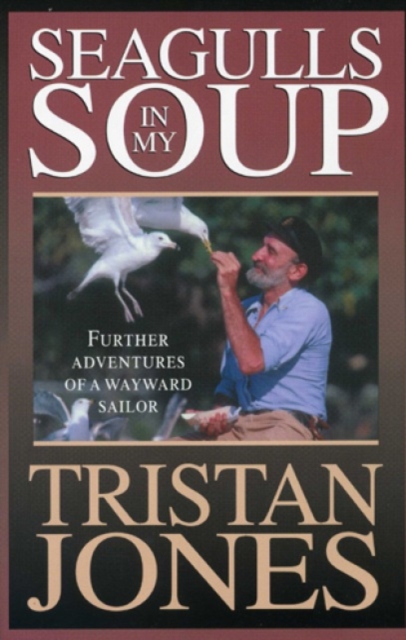 Seagulls in My Soup : Further Adventures of a Wayward Sailor, Paperback Book