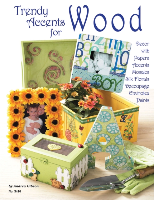 Trendy Accents for Wood : Decor with Paper Accents, Mosaics, Silk Florals, Decoupage, Einvirotex, Paints, Paperback / softback Book