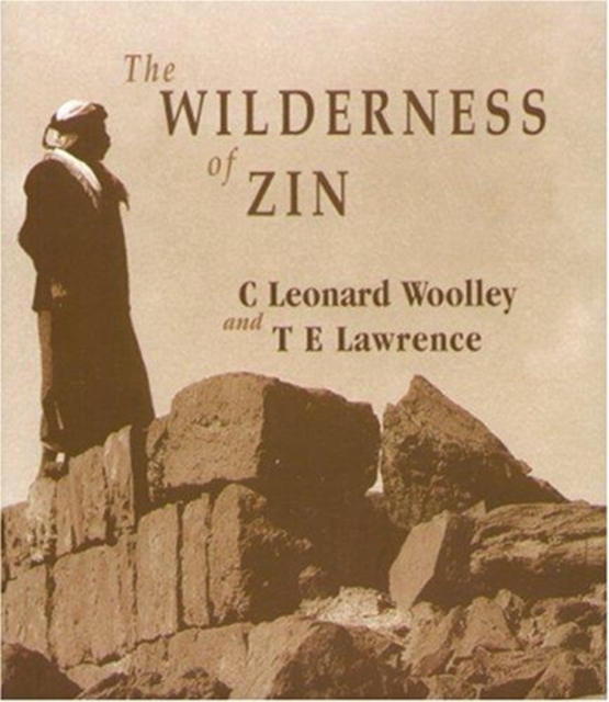 The Wilderness of Zin, Hardback Book