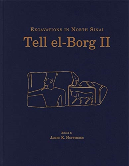 Tell el-Borg II : Excavations in North Sinai, Hardback Book