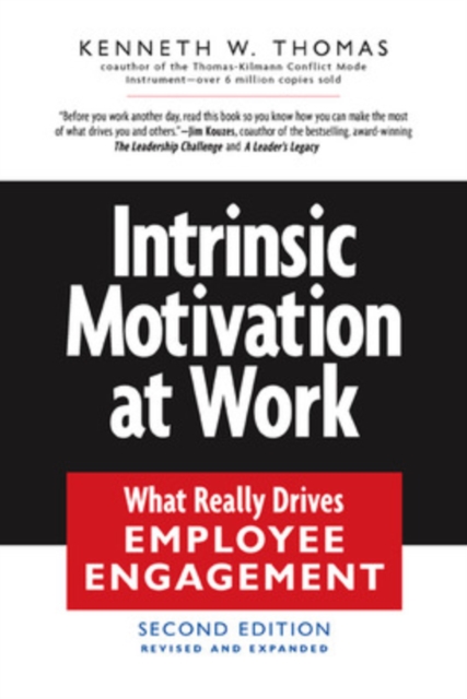 Intrinsic Motivation at Work, Paperback / softback Book