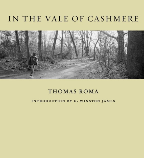 In The Vale Of Cashmere, Hardback Book