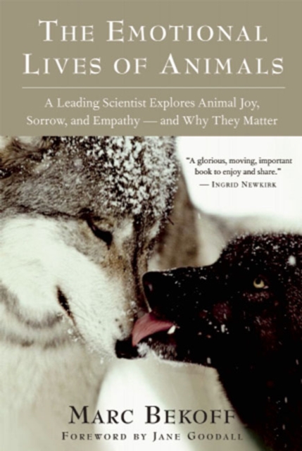 The Emotional Lives of Animals : A Leading Scientist Explores Animal Joy, Sorrow, and Empathy ? and Why They Matter, Paperback / softback Book