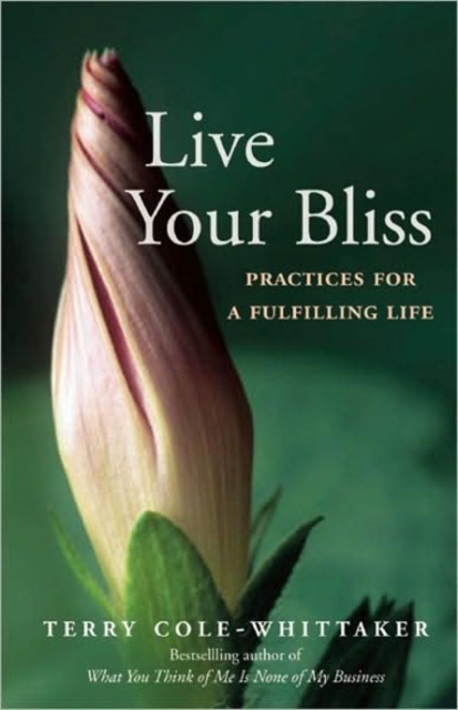 Live Your Bliss : Practices for a Fulfilling Life, Paperback / softback Book