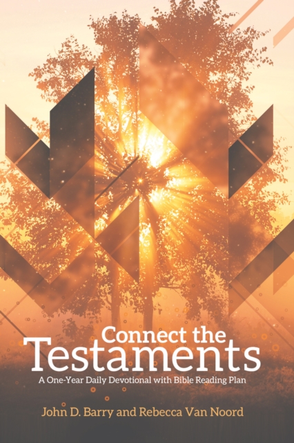 Connect the Testaments, EPUB eBook