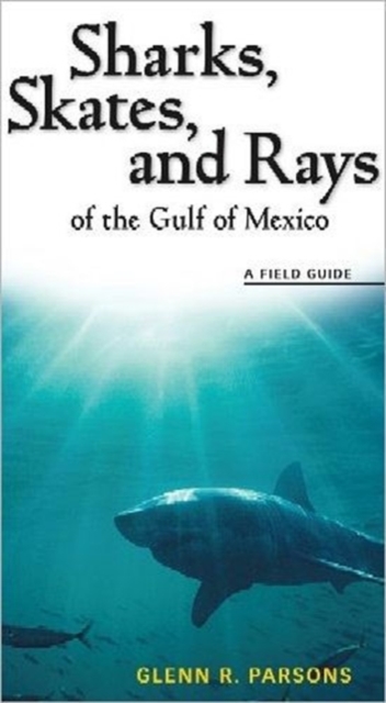 Sharks, Skates, and Rays of the Gulf of Mexico : A Field Guide, Paperback / softback Book
