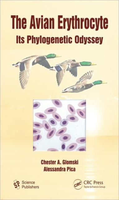 The Avian Erythrocyte : Its Phylogenetic Odyssey, Hardback Book
