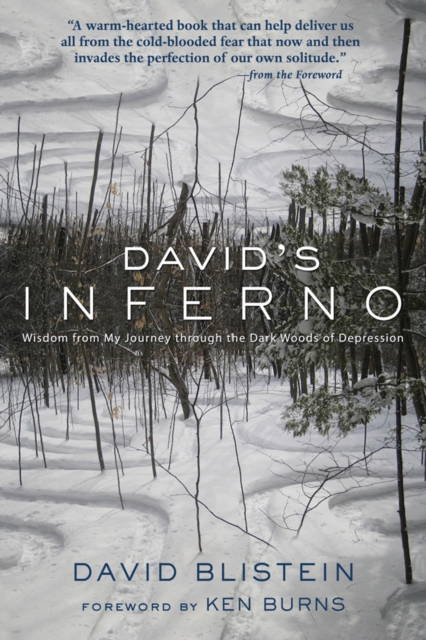 David's Inferno : Wisdom from My Journey through the Dark Woods of Depression, Paperback / softback Book