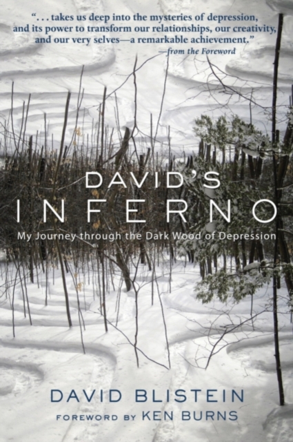 David's Inferno, EPUB eBook