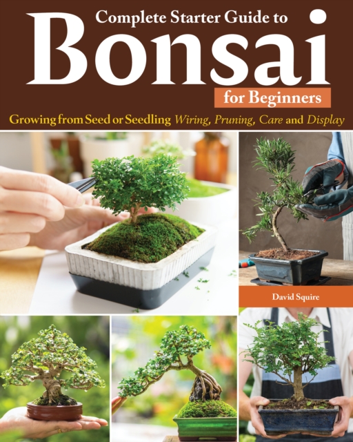 Complete Starter Guide to Bonsai : Growing from Seed or Seedling--Wiring, Pruning, Care, and Display, Paperback / softback Book